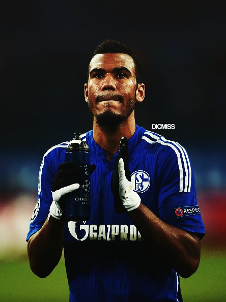 laabid_brahim's tweet photo. Choupo mouting https://t.co/8YcIvVSwu1