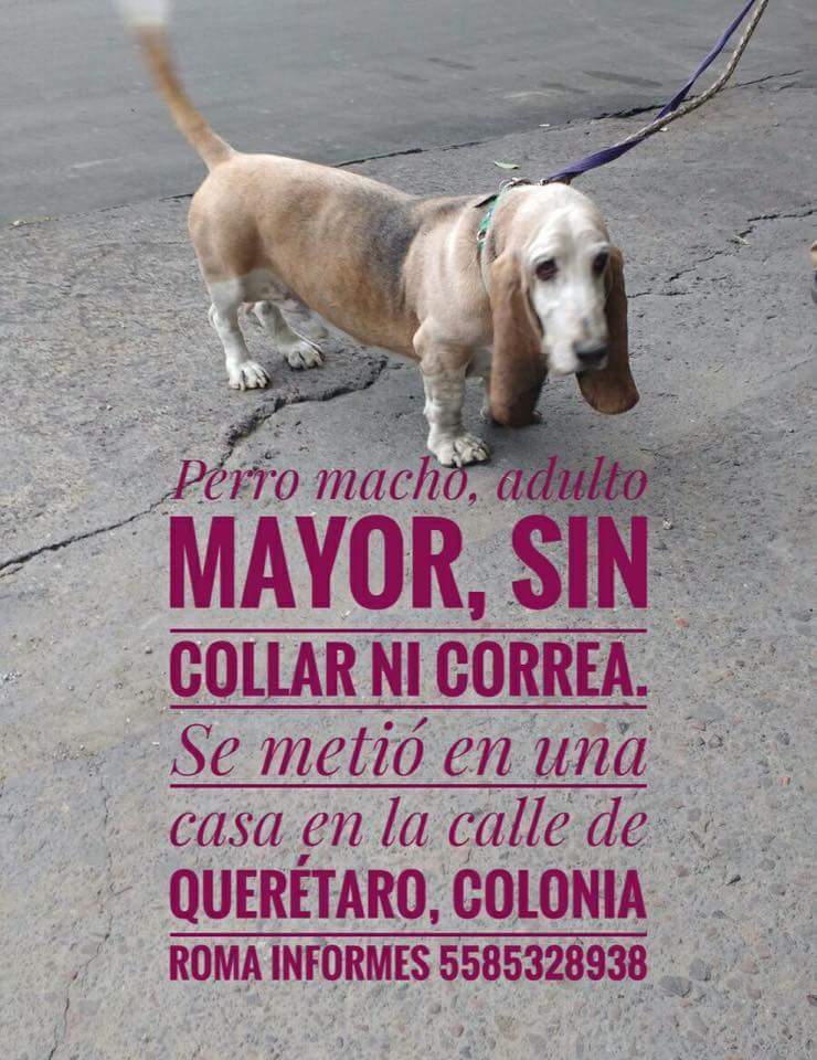 anglsgaresc's tweet photo. RT por favor @En_laDelValle https://t.co/0uvTkPdf6H