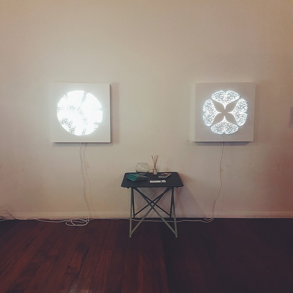 manifoldspace's tweet photo. Taranaki Arts Trail on at Manifold this weekend. Art by Jacqui Elley, coffee on the house and free WiFi by @PrimoWireless Swing by! https://t.co/bqWitU8pkP