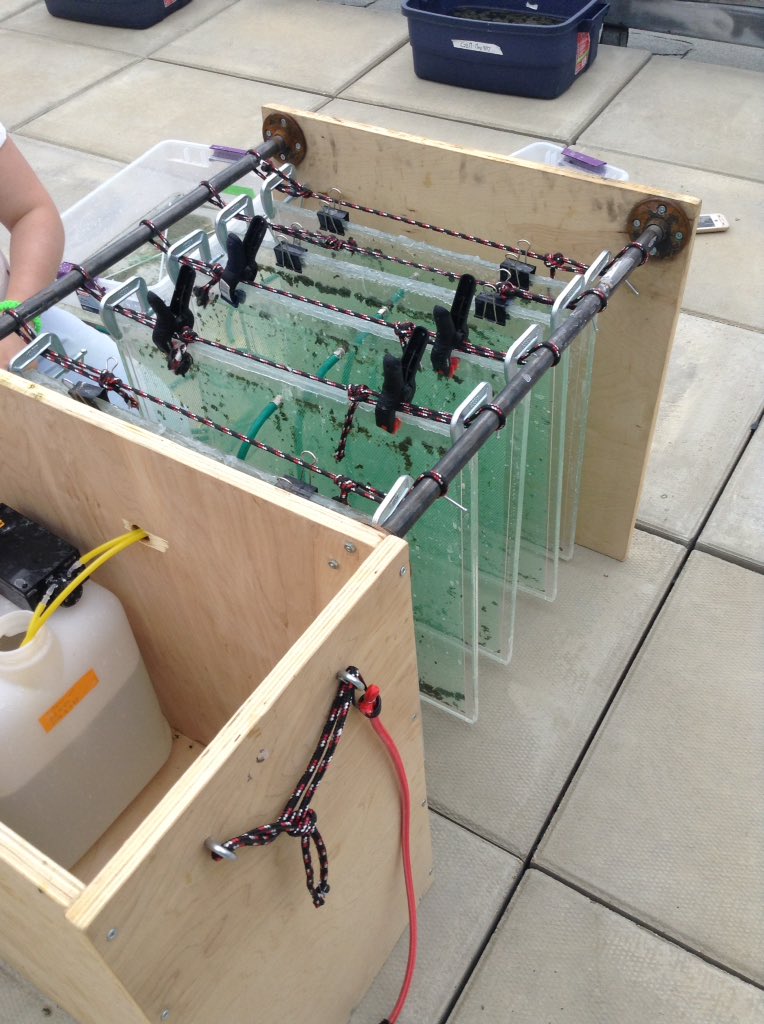 jkzorz's tweet photo. @haylequinn setting up her in-series outdoor bioreactor experiment @SolarBiocells #algaebiofuels #greenenergy https://t.co/u84iqjG61s