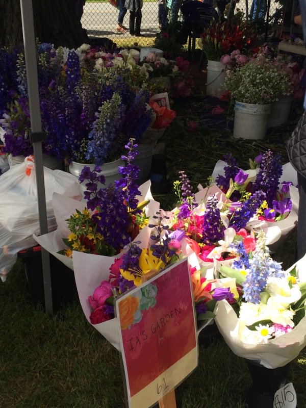 EverettCity's tweet photo. The 20th year of #Sorticulture is underway down at Legion Park! Check out Everett's garden arts fest now through Sunday! https://t.co/CEtmHUAbOI
