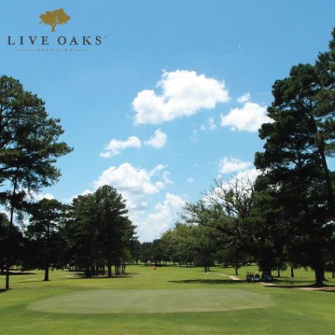 Come try Live Oaks on us!  Retweet this post for a chance to win a round of golf for 2 with a cart.  Winner announced Monday.
