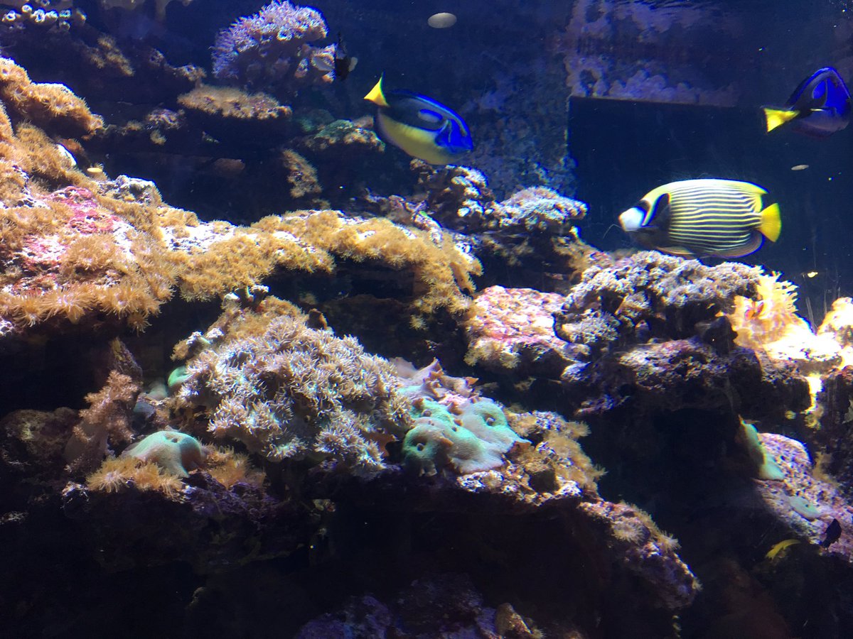 _Caitlinhope_'s tweet image. PT. 1 of the fun mission trip🤙🏼