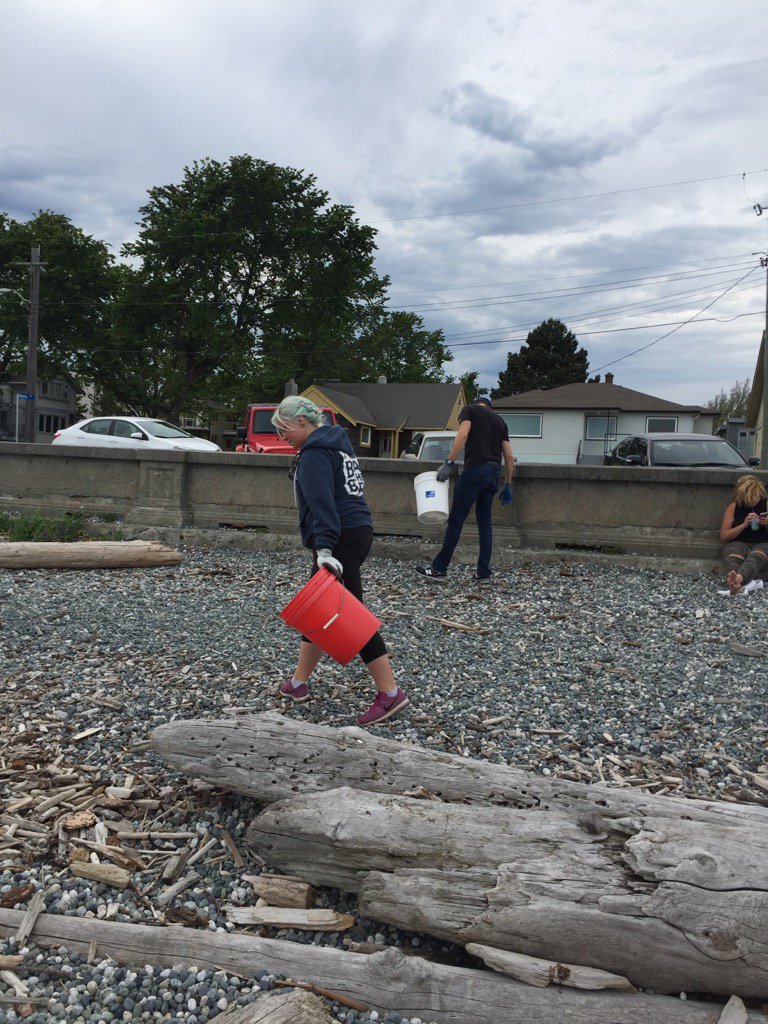 slidersoph's tweet photo. #VITSO ee's volunteer #Canada150 beach clean-up! 23 plastic bottles; 21 shotgun shells; 73 cigarette butts; and more! https://t.co/ifN4CDdUuO