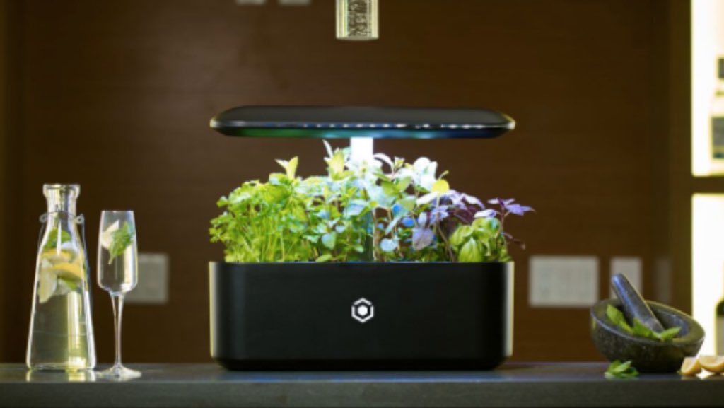 FCI_Media's tweet photo. Via @AVASmartGarden AI powered indoor smart garden "give everyone Michelin Star produce right on their own kitchen counter" #foodiechats https://t.co/M2Cz4unYd2