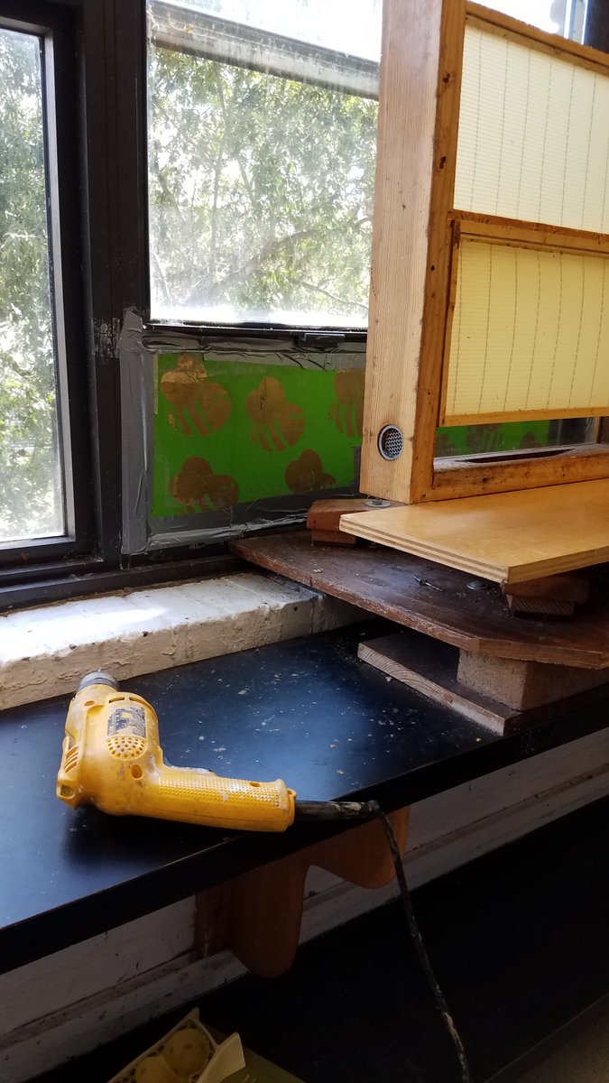 GWBuzz's tweet photo. Today we filled our observation hive! 🔎🐝 https://t.co/UOOpLW9yTF