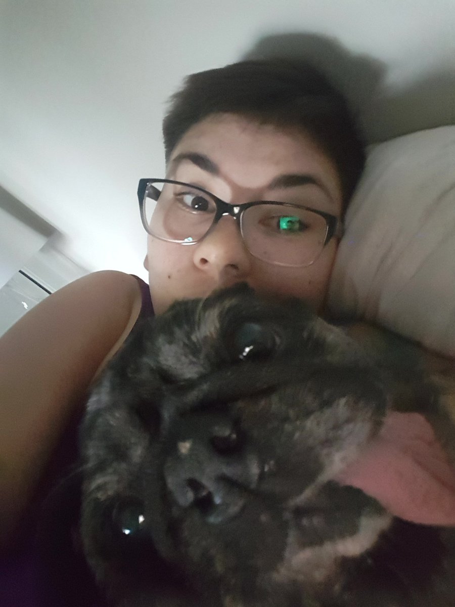 KempoThePug's tweet photo. Have a great #weekend ! #pug #puglife #dogsoftwitter https://t.co/KTKoyhOrkU