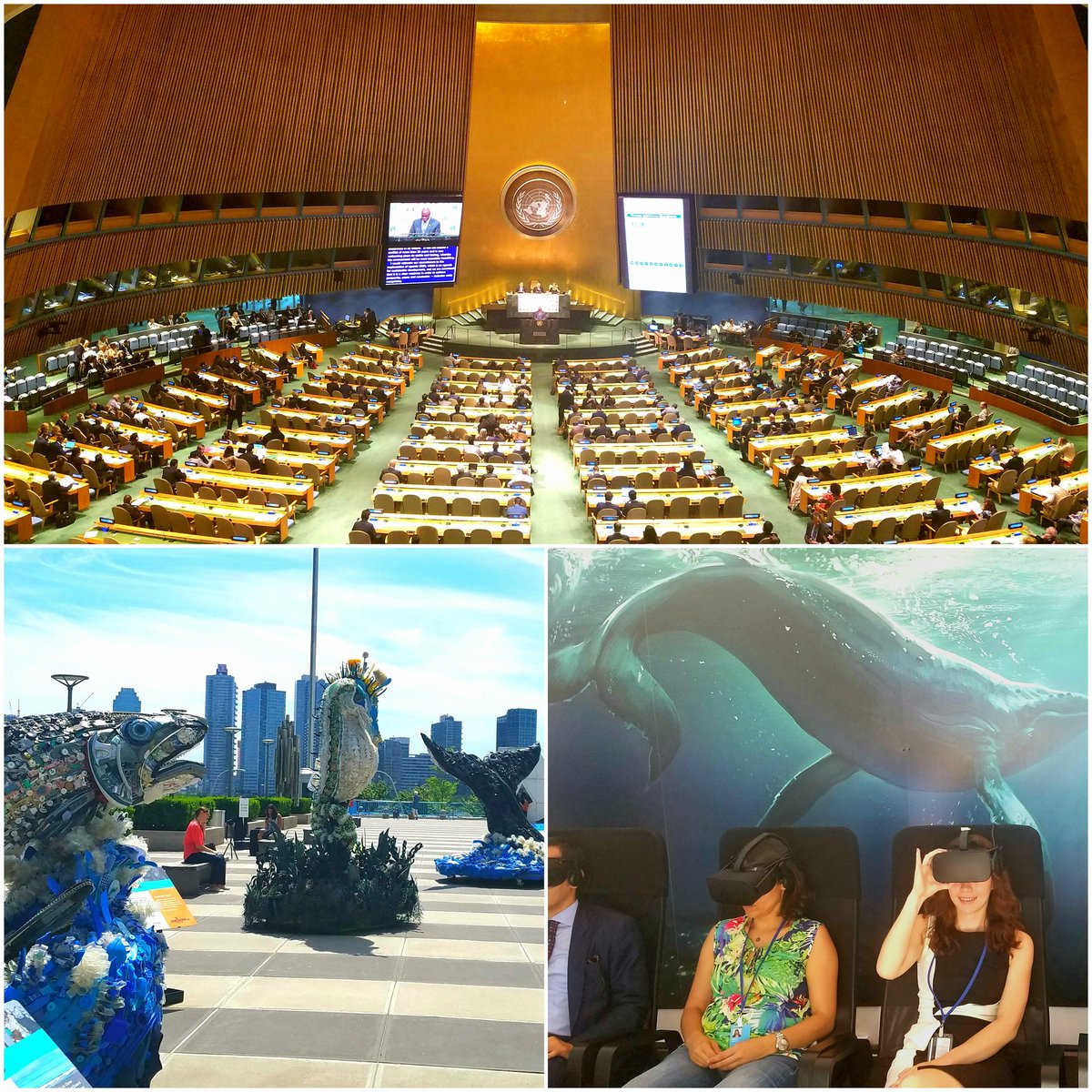 Great week at the UN #OceansConference! So inspired on the amazing potential for the #BlueEconomy and for #ImpactInvestment in our seas!