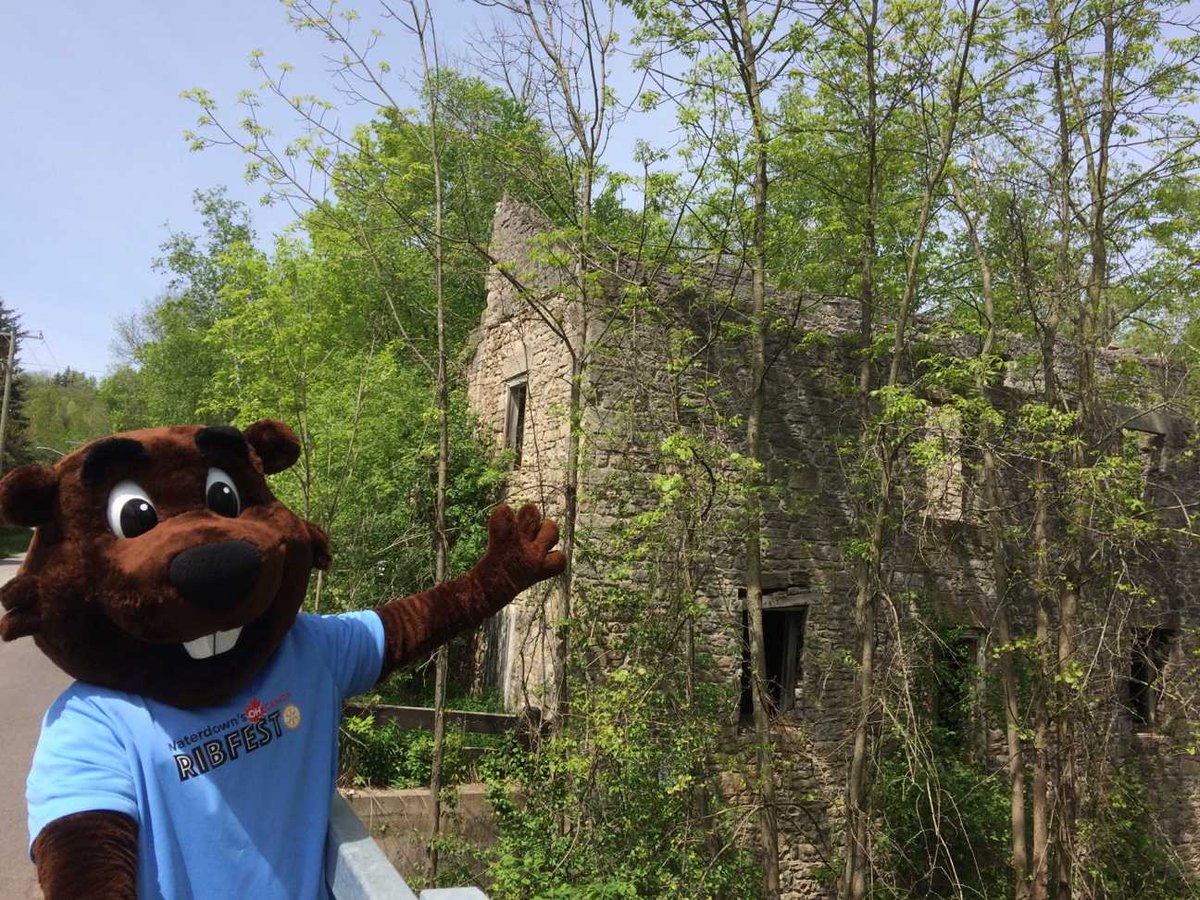 Waterdown150's tweet photo. Bucky visits the ruins of Darnley Mill in Crooks Hollow promoting @OCanadaRibfest & #Loop150. #Canada150 @Garry_Flood #HamOnt https://t.co/BL4EIFIxKA
