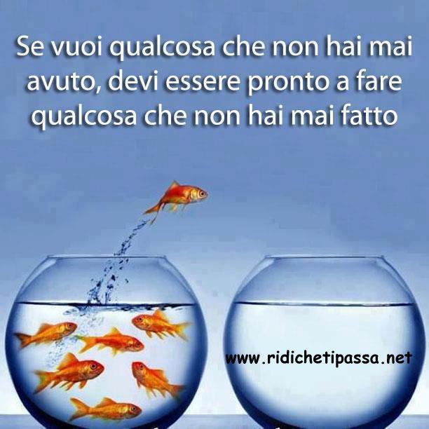 ridi_chetipassa tweet picture