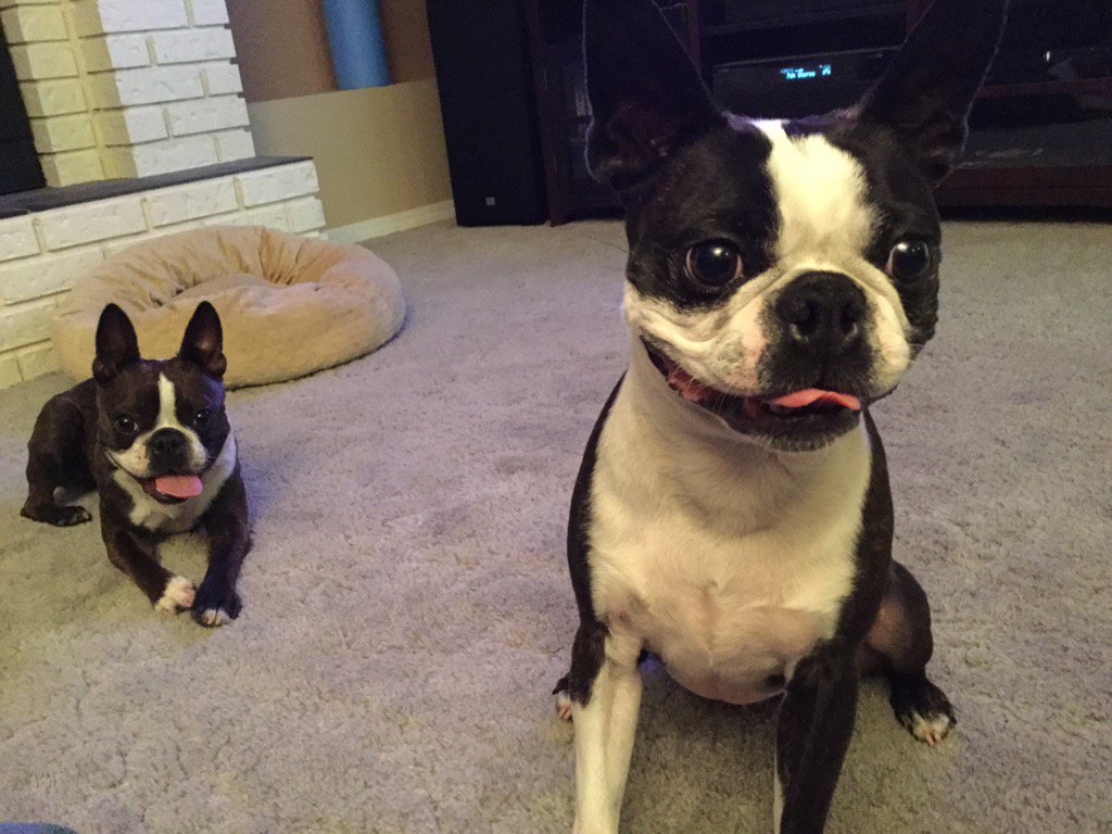 sandbott's tweet image. They call me Crazy Eyesd Cola! And I'm with my side kick Goof Pants!