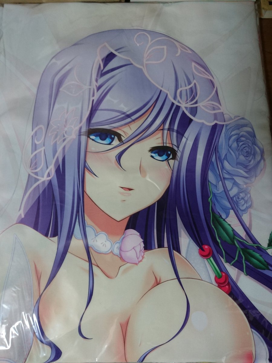 ぐちお 蔵出し通販の紫苑 璃々ちゃんの抱き枕カバー届いた やっぱ紫苑はエロいな めちゃくちゃ嬉しい O Baseson