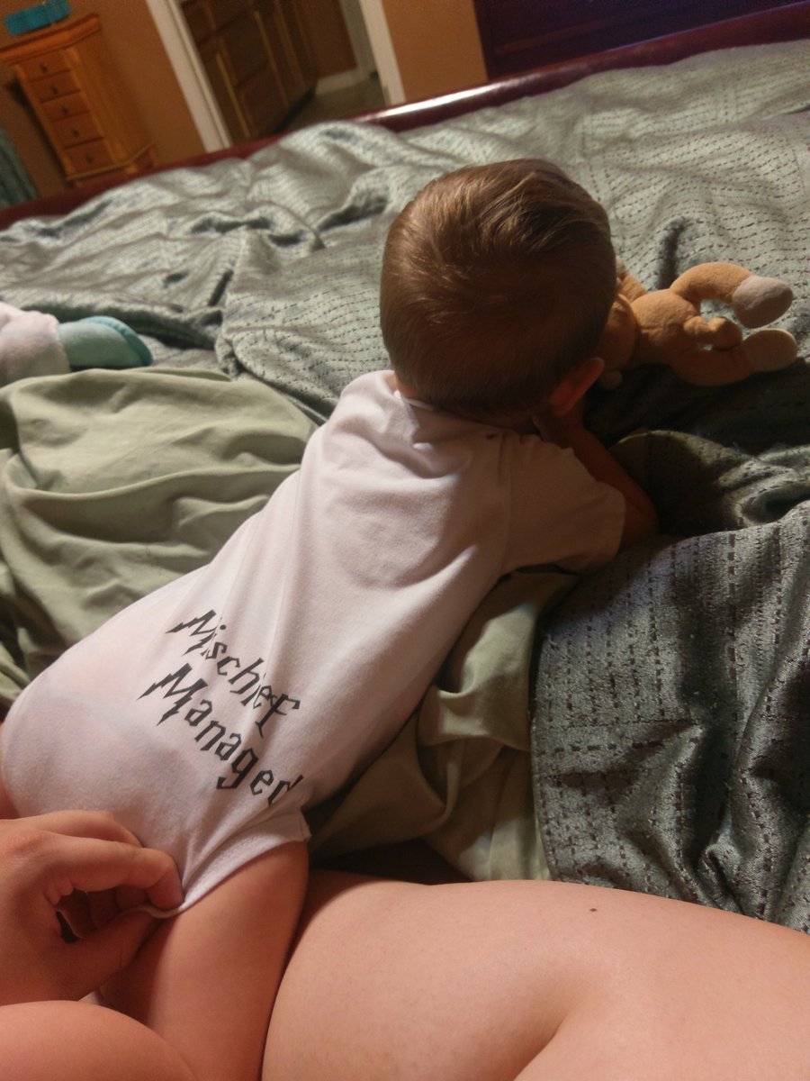 AuthorMDHarding's tweet photo. #potterlife #pottermom https://t.co/AmQNPdOPX5