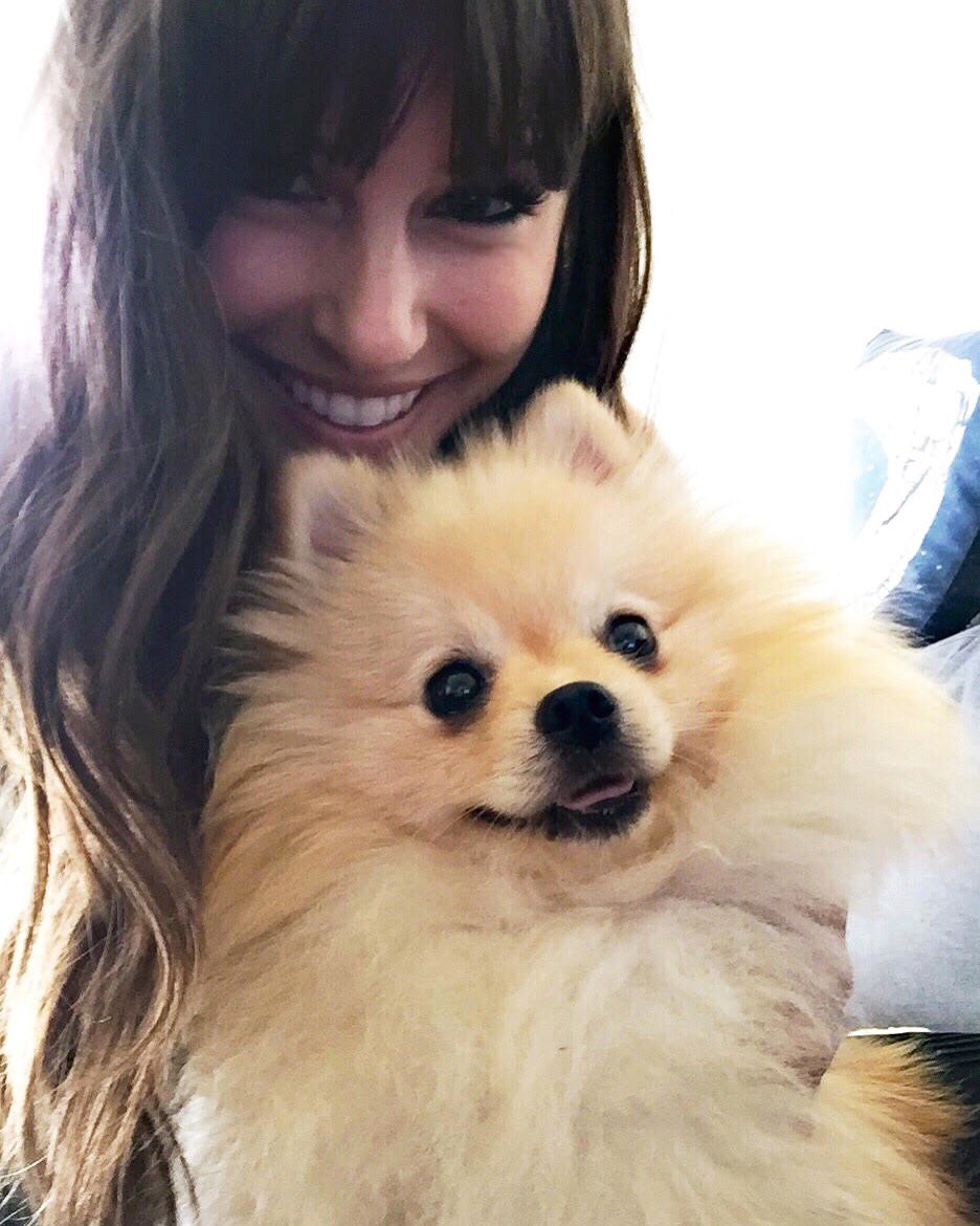 carlyhenderson_'s tweet photo. Fofa alert! Friends, say hi to my new dog Waffles! So in love 💕 https://t.co/UcXW6iUZ7D
