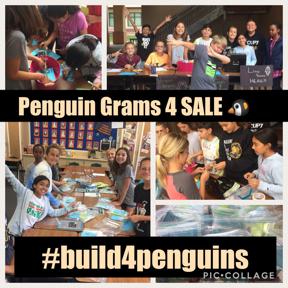 lizrteach's tweet photo. 3 wks of #pbl & student driven projects&campaigns raised $500 for @SANCCOB #build4penguins ๐ง@Hawks_OH are happy to change the ๐@TUSDschools https://t.co/lHei20qDSE