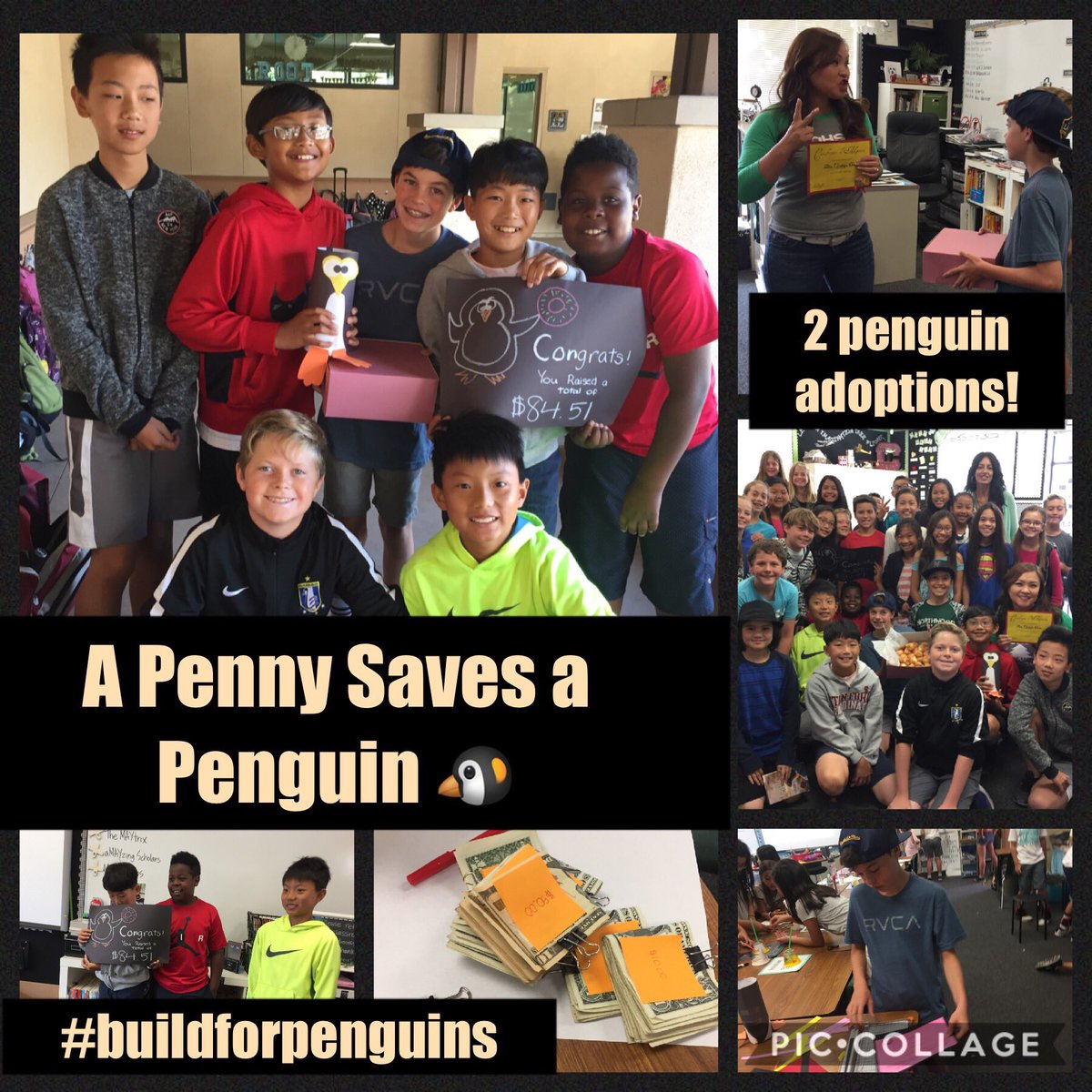 lizrteach's tweet photo. 3 wks of #pbl & student driven projects&campaigns raised $500 for @SANCCOB #build4penguins ๐ง@Hawks_OH are happy to change the ๐@TUSDschools https://t.co/lHei20qDSE