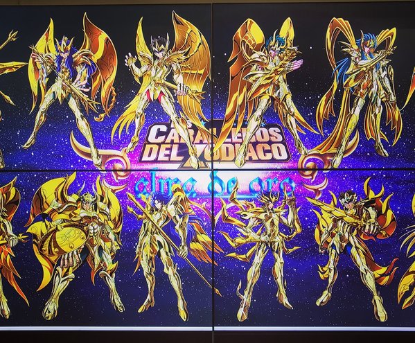 GOLD SAINTS (GOD CLOTH 