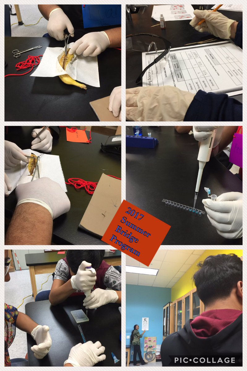 1HIBSA's tweet photo. Summer Bridge Camp @hsofingenuity @1HIBSA students mentor #Biomed participants #STEM https://t.co/ilwbrvFEYB