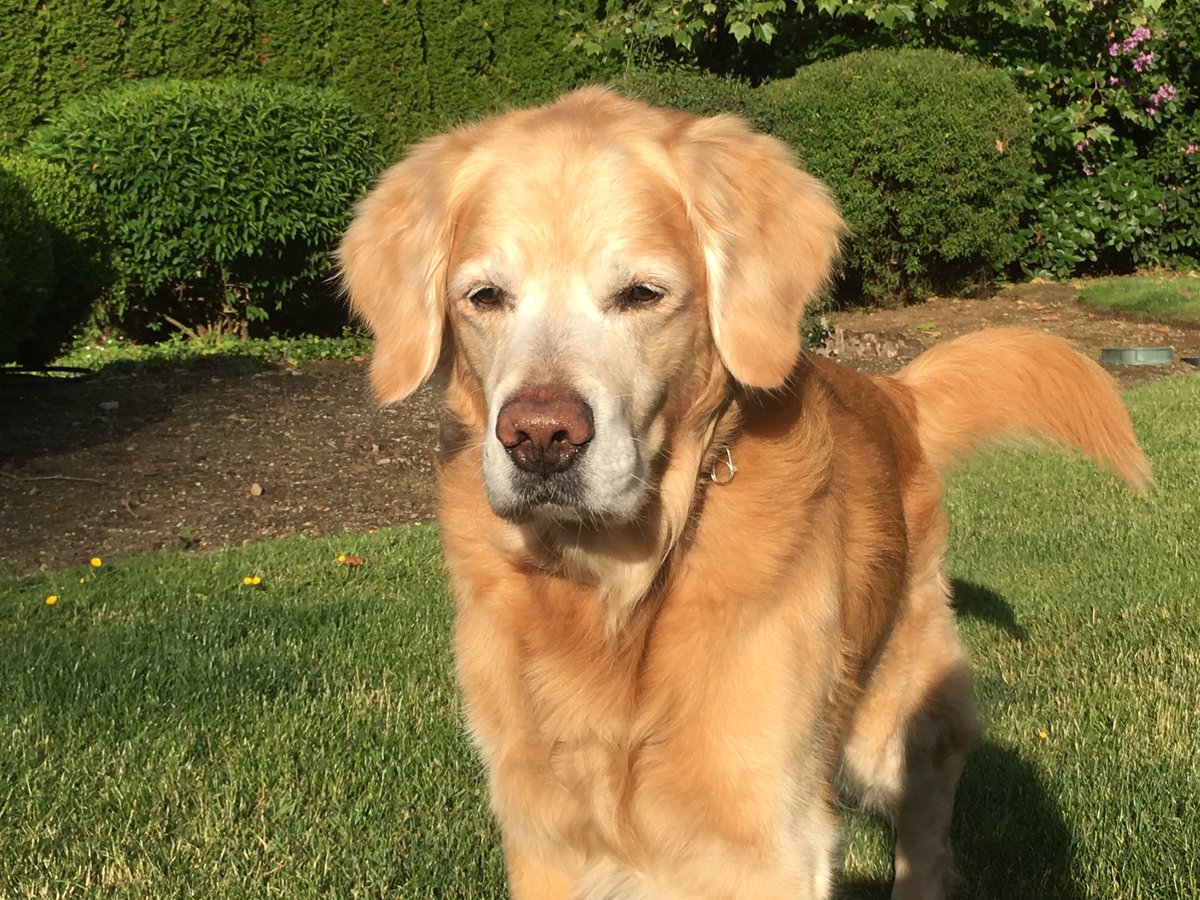 Ben Kinney tweet media