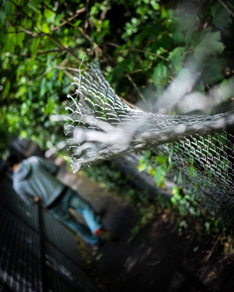 If you kept the small rules, you could break the big ones

#1984
#Orwell 
#bigbrother 
#anonymous 
#notrespassing