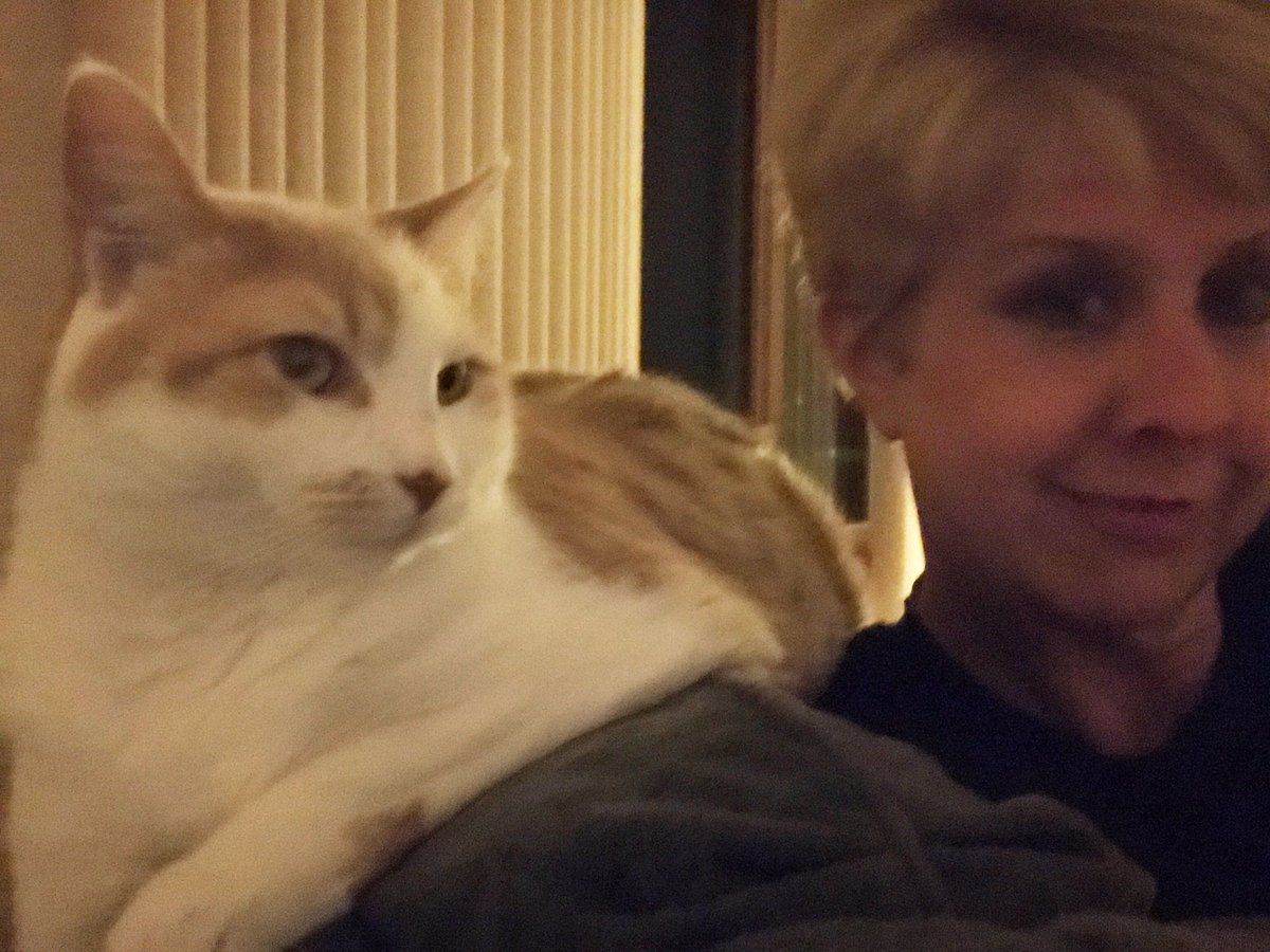 DebbieMaz's tweet photo. I adore him, he swats me once pic is done... #CatsOfTwitter #rockstarcatCornell #hetoleratesme https://t.co/YQbwytpTNX