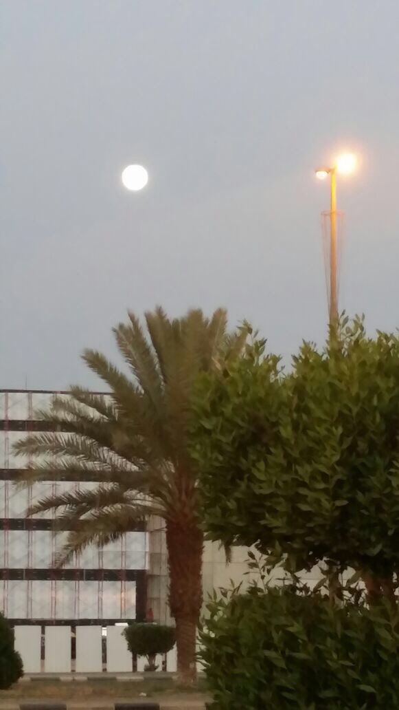 2001Sbv's tweet photo. تبوك فديتها ❤️١٥رمضان https://t.co/nesepug2yA