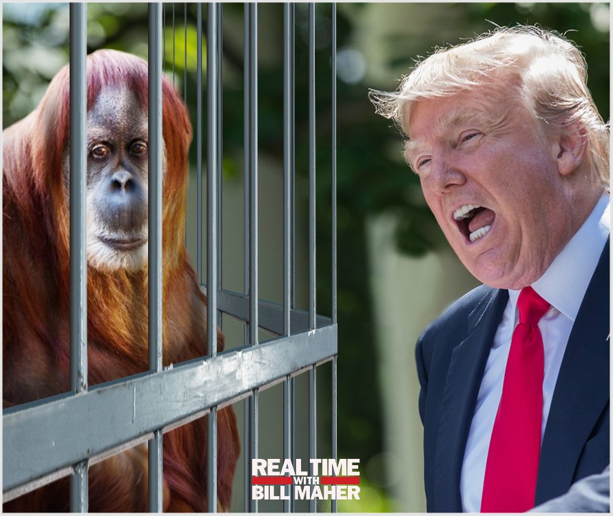RealTimers's tweet photo. What would it take for Trump to lose his base? #WhatIfTrump spent every day at the National Zoo, yelling, โAm I good enough now, Daddy? https://t.co/R7SMjZStix