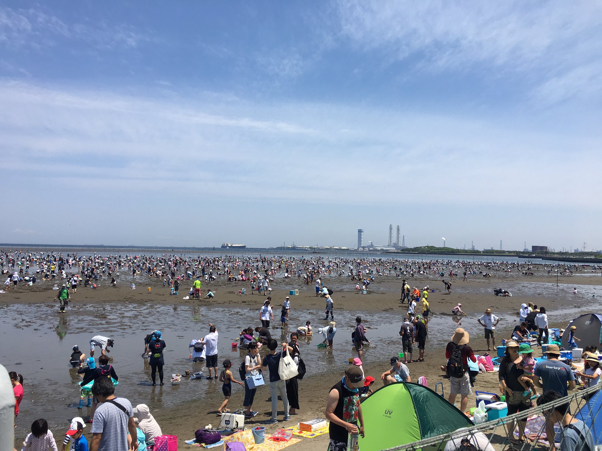 55aiai 首都圏の潮干狩りはこんな感じなんですって ハマグリも取れたしアサリごろごろ 生育いいらしく 大粒でした 東京湾フェリーたのしー 南房総たのしー 千葉 潮干狩り 富津海岸潮干狩り 富津 T Co Rt8et4n0jv Twitter