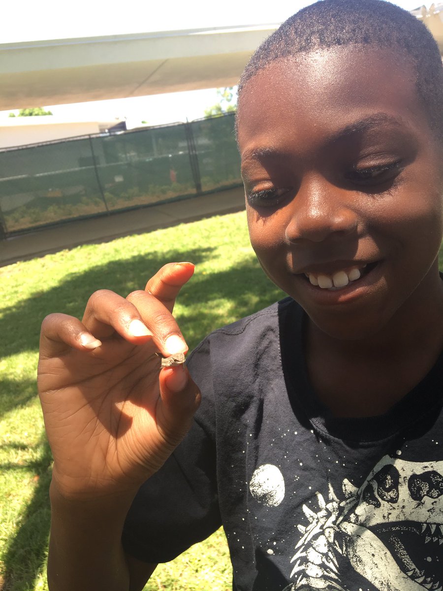 AmandaSilvaCV's tweet photo. We saved a baby lizard today! Poor little thing was stuck in a bathroom.❤️@MagnoliaCVUSD @sdteacher25 @mrslitoff @CajonValleyUSD https://t.co/0MKGT2Tvfh
