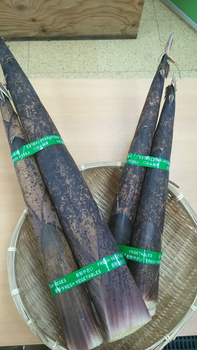 たけのこ沢山入りました！
真竹といい、アクが少なく普通のたけのこより
調理が簡単で美味しいたけのこです！