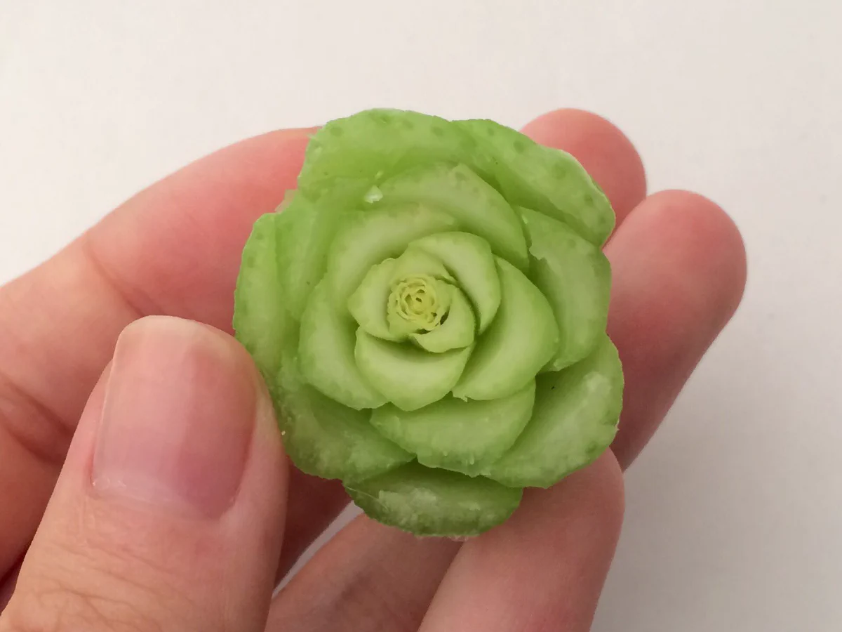 美しく、かわいい発見！料理をする人必見小松菜の根元に注目