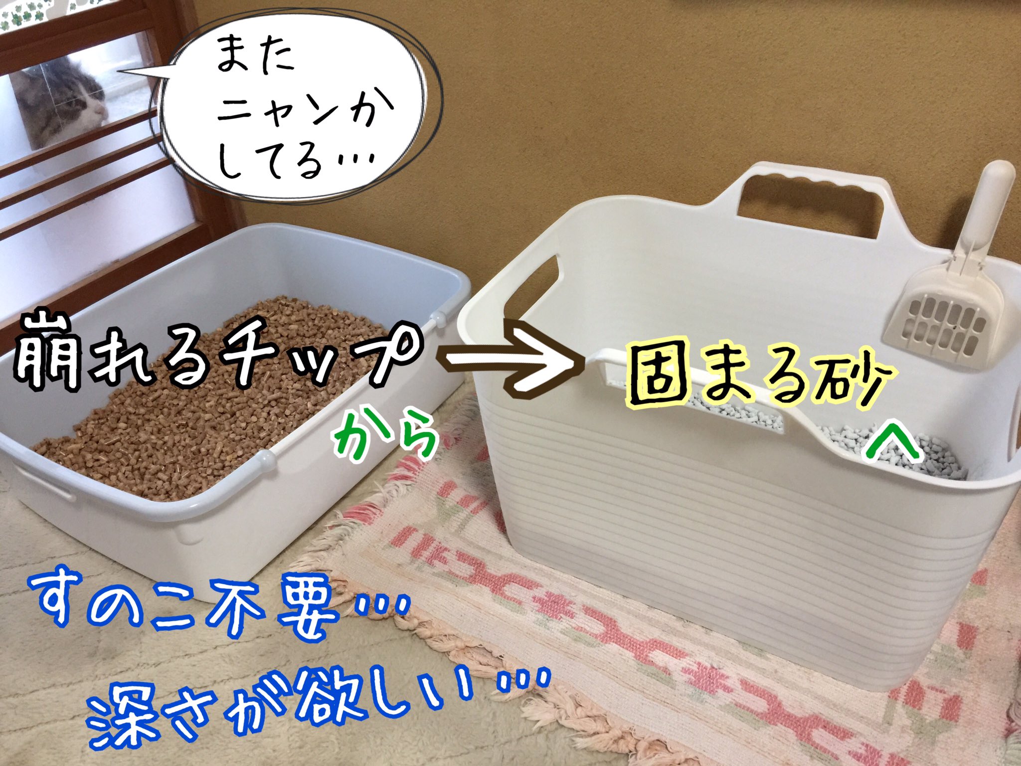 Twitter 上的 Mya Mam イークの粗相対策で始まった固まる砂トイレプロジェクト 大人気です で システムトイレの使用率が激減 使用者が見守る中 100均の500円バスケットを猫トイレにリメイク 猫トイレ 猫トイレリメイク 100均 T Co Xaavbwno