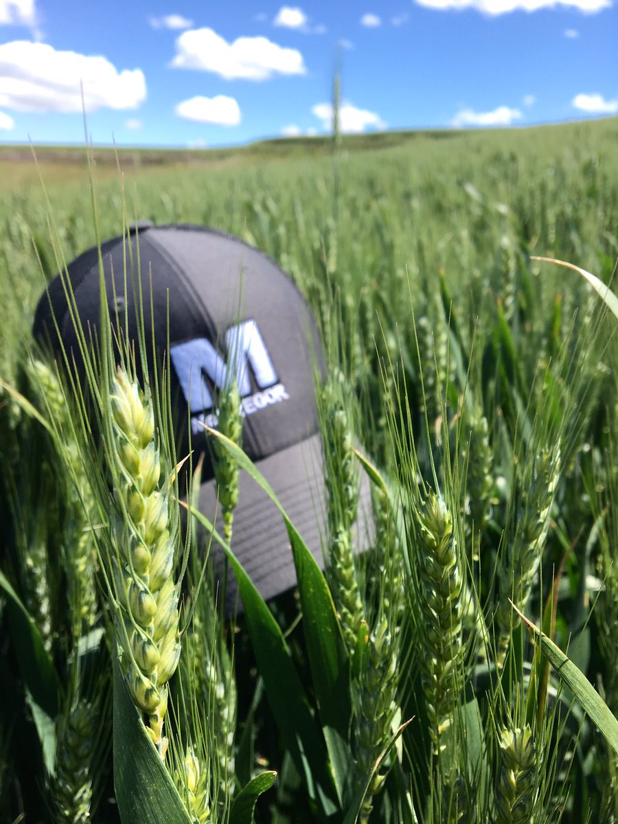 SamKimmell's tweet photo. We'll see what protein does but #LCSJet looking good across the county. https://t.co/iqsiHfes1R