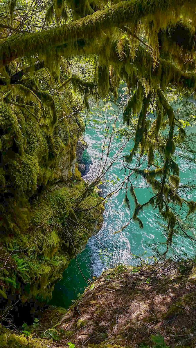 trailjunkie78's tweet photo. Cool shot I got up above The Blue Hole.
 #BlueHole #Ohanapecosh #PNW #trailjunkie #optoutside https://t.co/7YVwcDbh4y