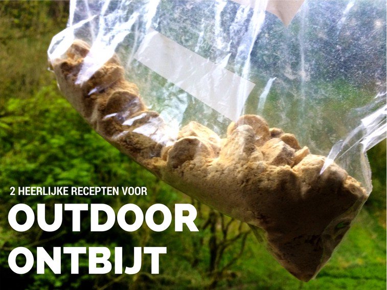 microadventure tweet media