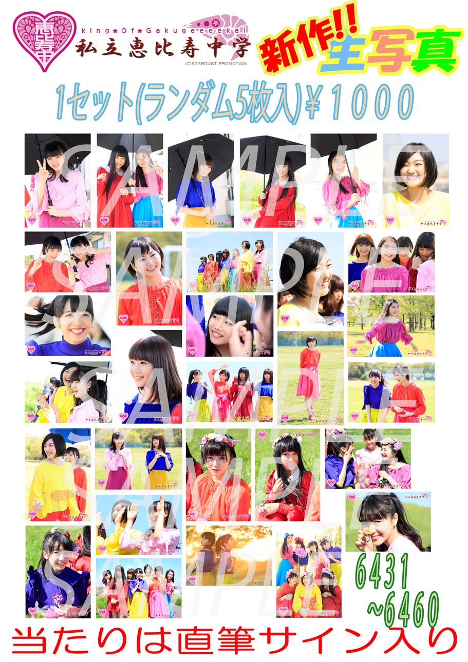 6/6)私立恵比寿中学 大宮ソニックシティ 2階席9列30番代