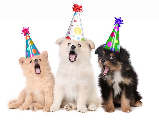 . happy birthday. May Tom Jones serenade you! 
