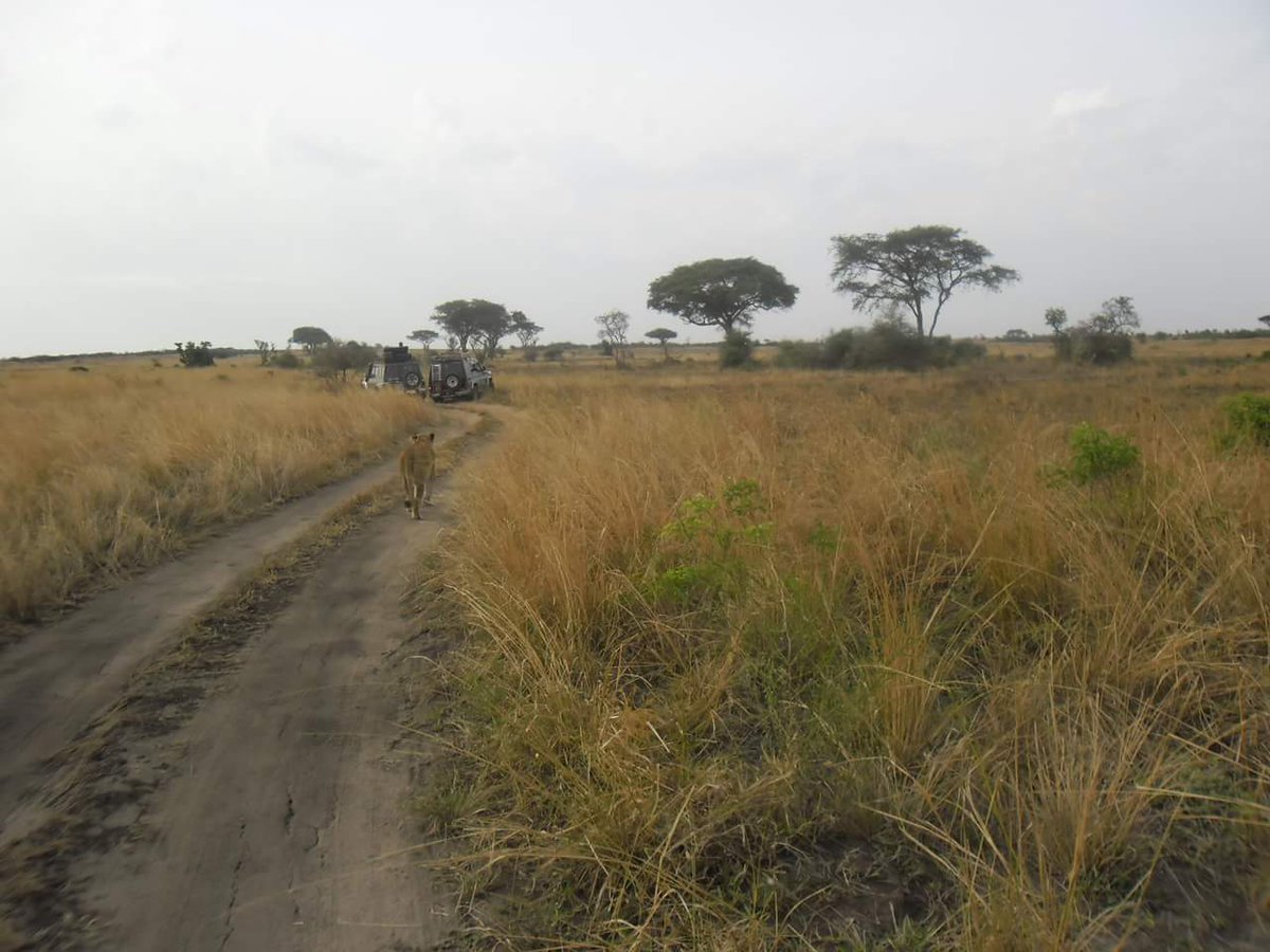 Executive Destinations & Experiences Limited (EDX) tweet media