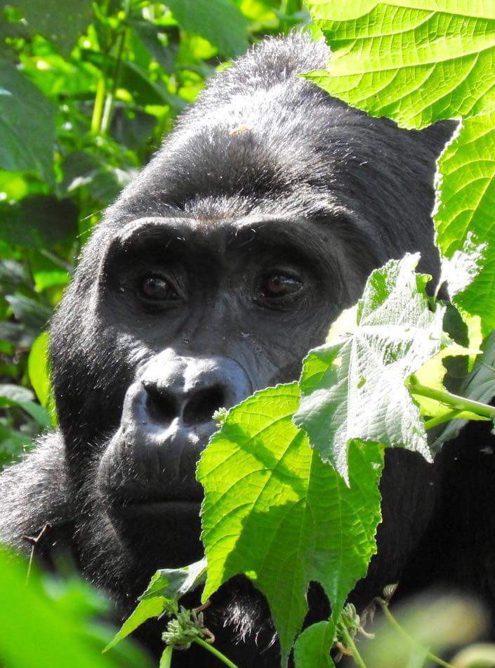 Executive Destinations & Experiences Limited (EDX) tweet media