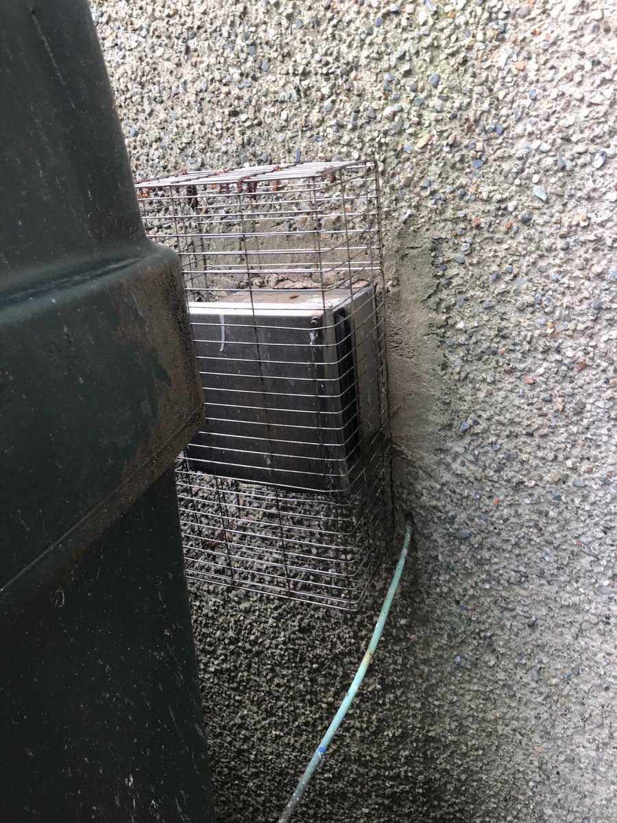 HeatSource_HSS's tweet photo. Here's 1 reason you should only use @OFTEC registered businesses. We've re-located the tank and replace the boiler with a @WorcesterBosch https://t.co/SJdoO0vLlI