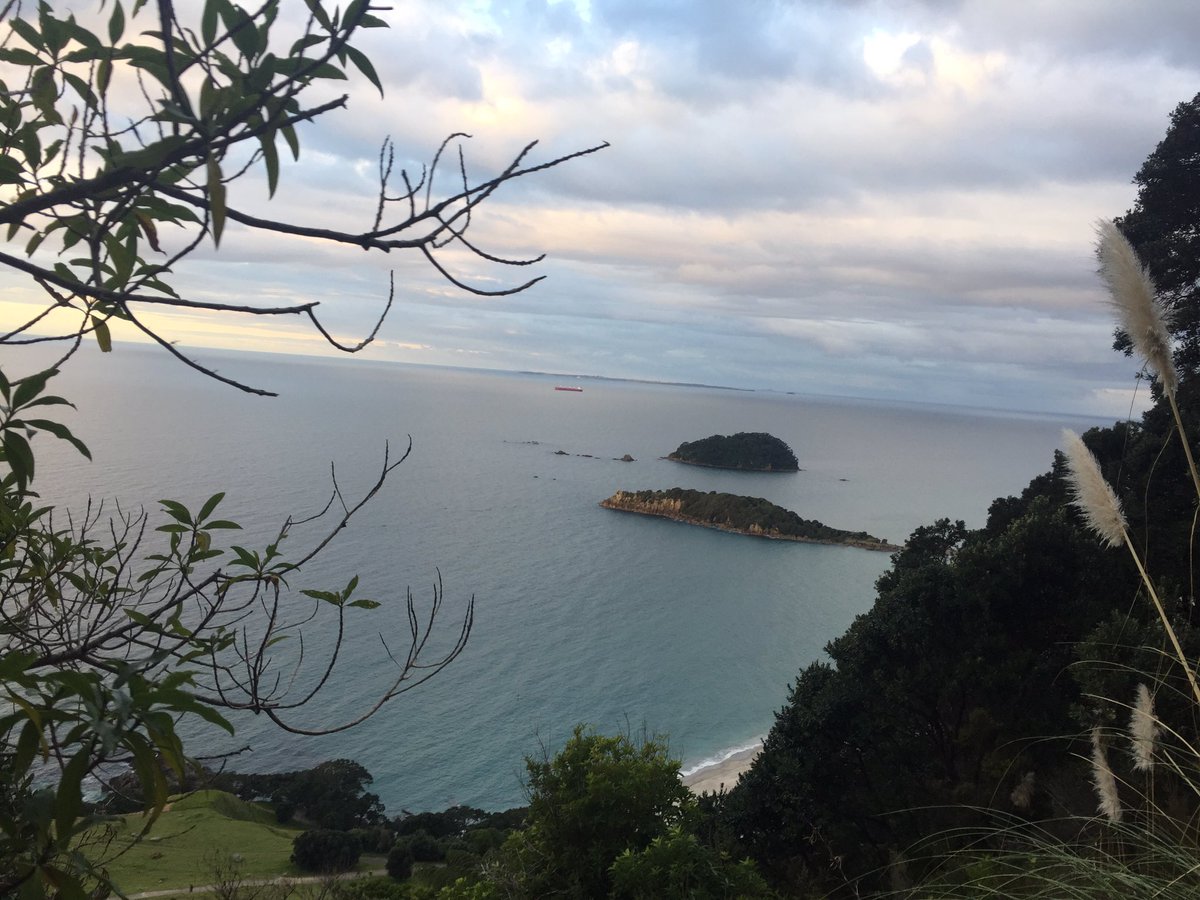 Mt_Maunganui tweet picture