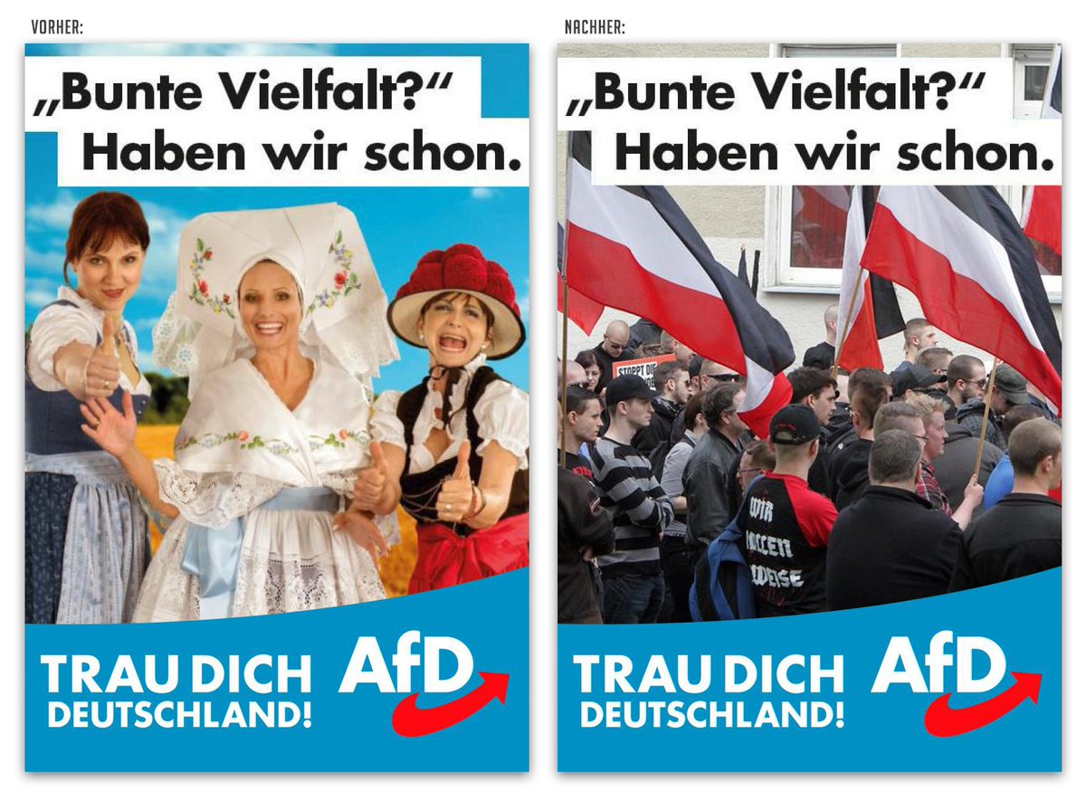 Berliner Zeitung Hitler im Bikini Shahak Shapira verhöhnt neue AfDWahlplakate Prof. Dr. Hajo