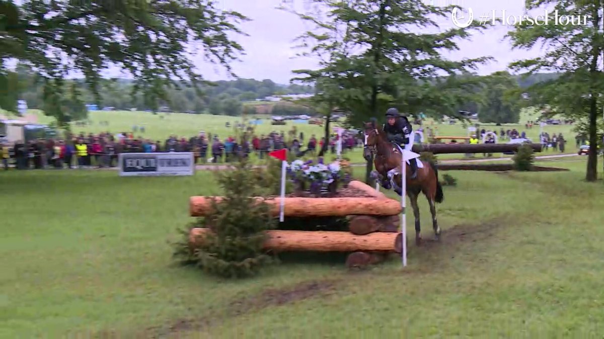 Go James Go! Super <a href="/JamesSommervil1/">James Sommerville</a> and Talent <a href="/BramhamPark/">Bramham Park</a> #EBHT #HorseHour <a href="/CavieraBedding/">Caviera Bedding</a>