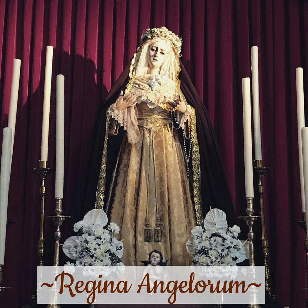 Felicitamos a @Hdad_Piedad_Pal por la bendición de su Titular Mariana, Nuestra Señora de los Ángeles #ReginaAngelorum
