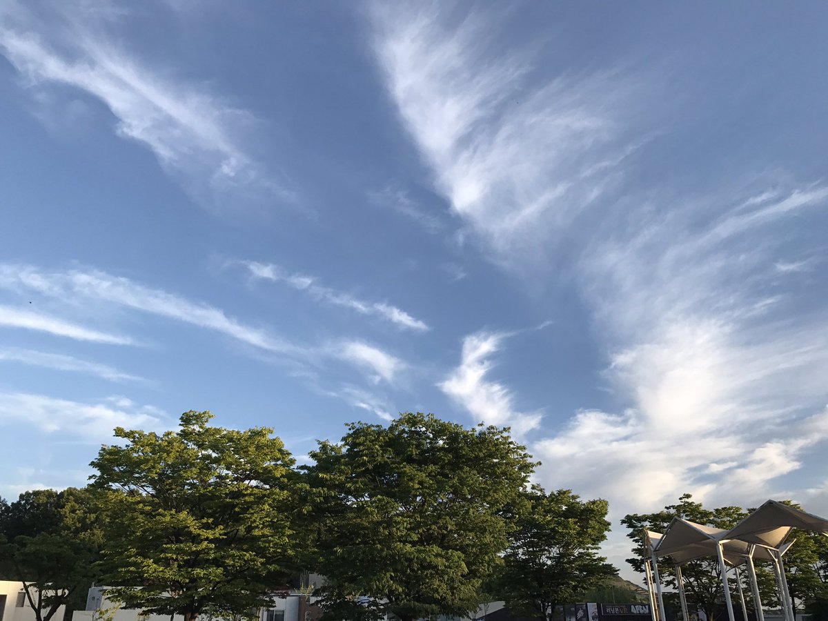 오랜만 하늘이 넘 이뽀