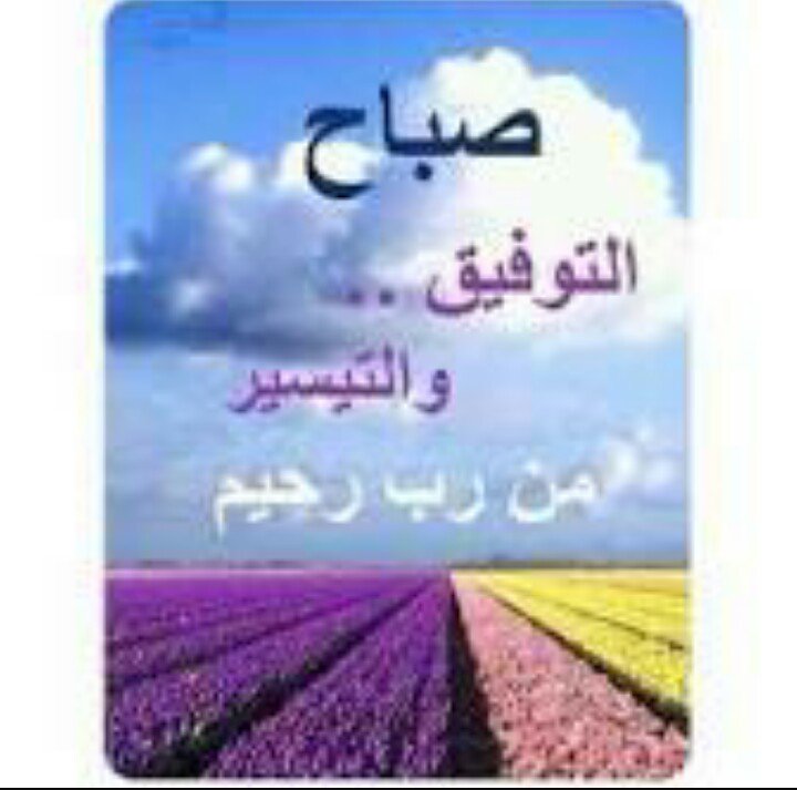 kla9etAlward's tweet photo. #صباح_الدوام 
صباحكم سعيد متابعيني.🌷 https://t.co/2058nD0j80