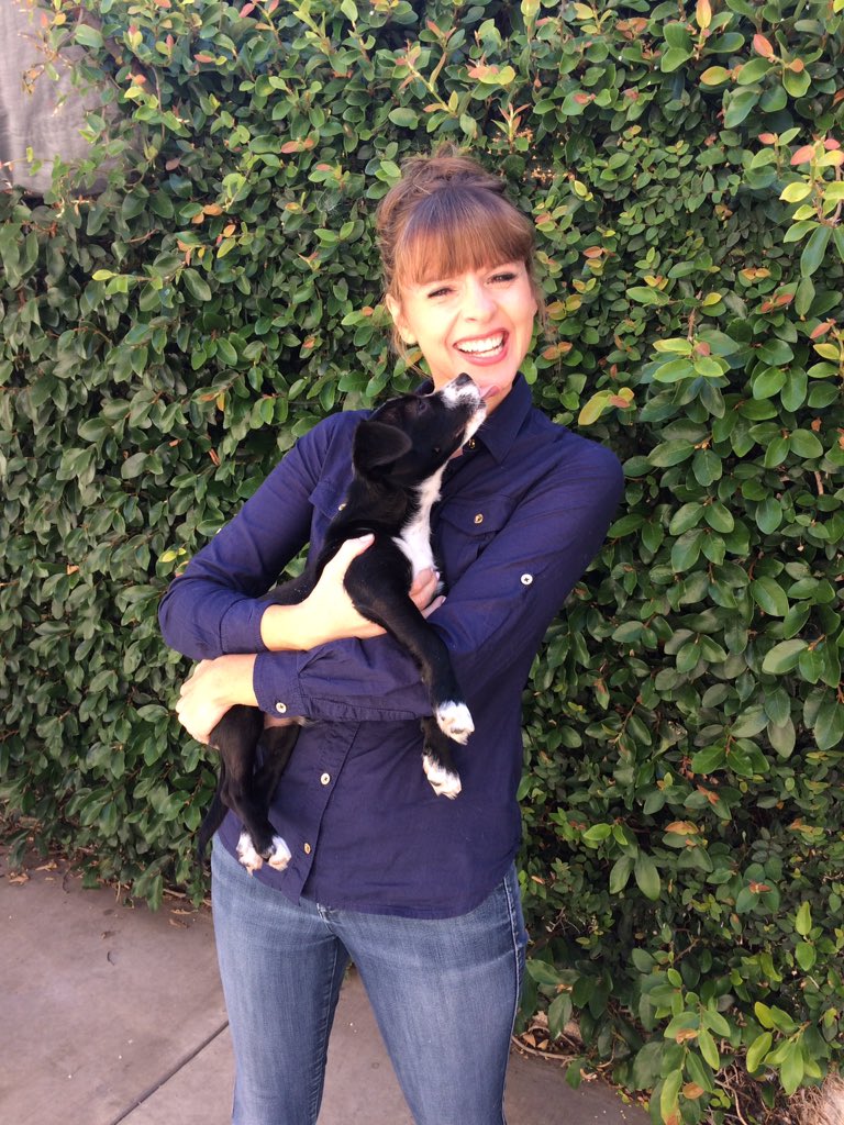 VictoriaS's tweet image. Rescue dogs have a lot of love to give. If you are looking for a dog this weekend, visit your local rescue &amp;amp; adopt. So many dogs need homes.