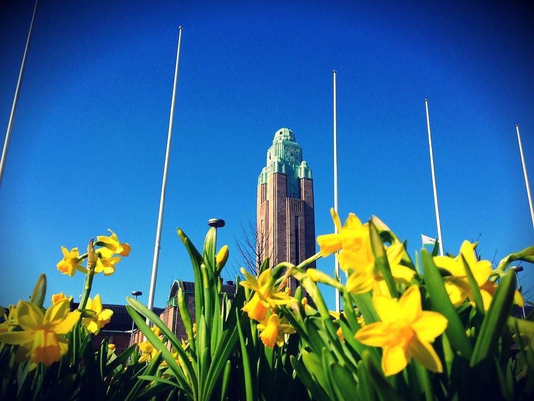ARCHOSNews's tweet photo. Easter vibes are taking over the city 💚
#myhelsinki #helsinki #visithelsinki https://t.co/QF7N6Np05H