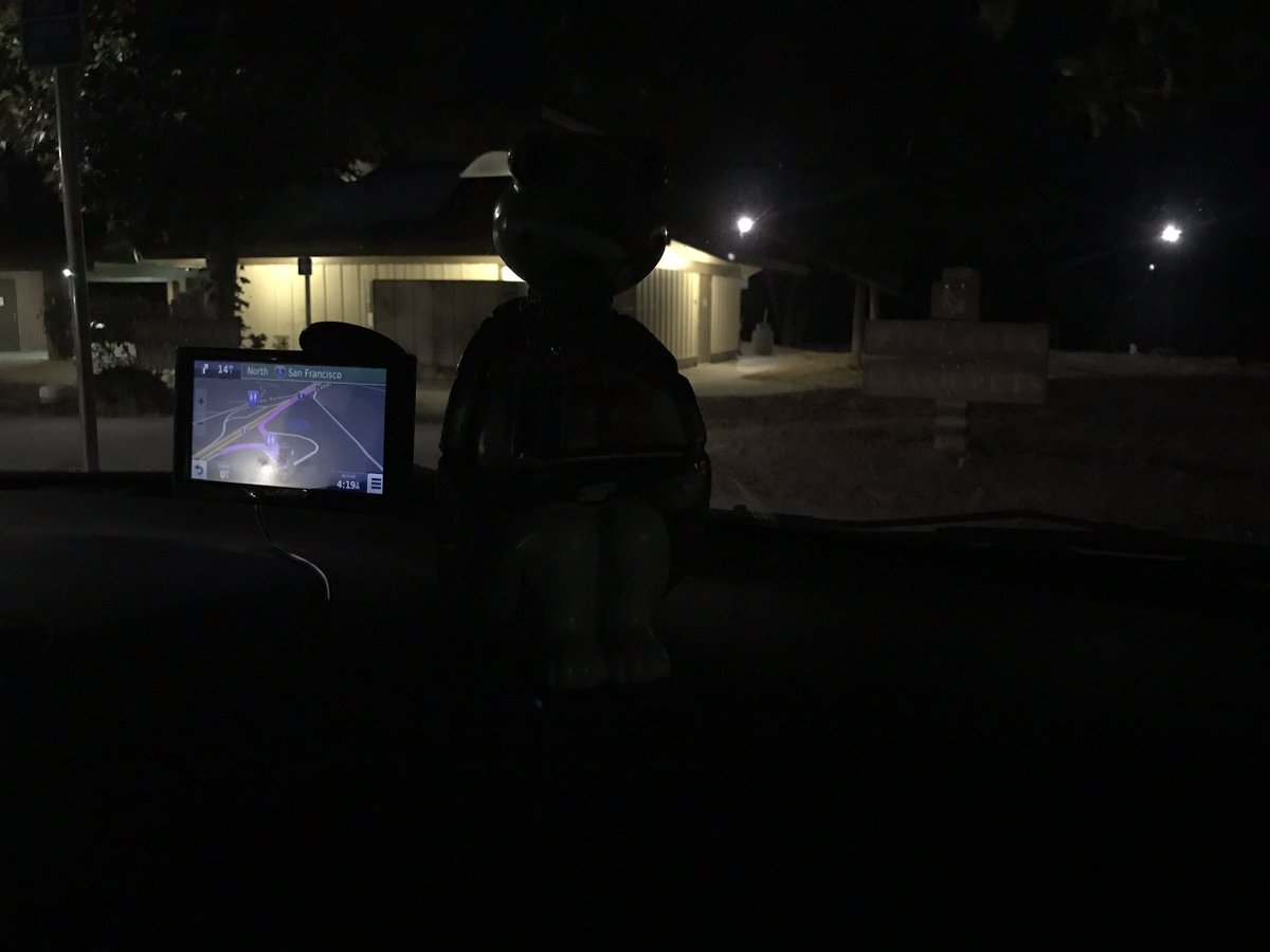 TurtleTyme713's tweet photo. Honey, honey yeah
We made it through the grapevine
Not much longer would we be driving baby
@toddlarowe #TheToddlets #thetravelingturtle 🚙🍇🍇 https://t.co/ZMOpV8MqiU