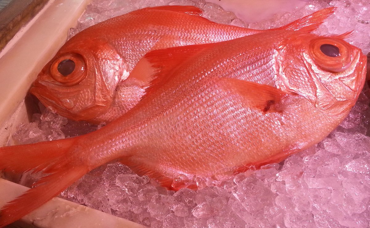 miradndcompras's tweet photo. Encarga #pescadoRey en las #pescaderías miradndcompras.
Es un pez perfecto para el #horno https://t.co/rZqNdgphFL
